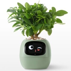 Smart Plant Pot Interactive LCD Screen Face Electronic Planter Sage Green